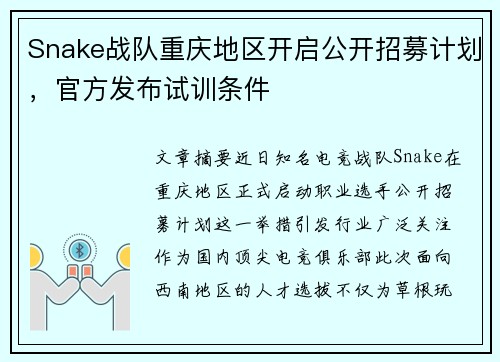 Snake战队重庆地区开启公开招募计划，官方发布试训条件